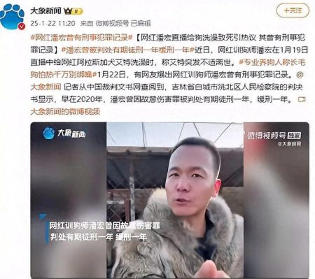 潘宏曾有刑事犯罪记录