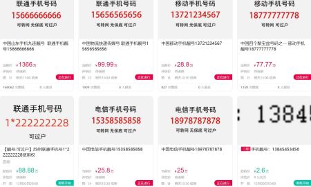 “最6”号码15666666666，1366万元再起拍，无人竞拍！号贩：过去利润或达100%，如今风光不再