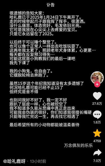 15岁网红犬“哈礼鹿”去世！半瘫后被悉心照料，主人发文惹泪目